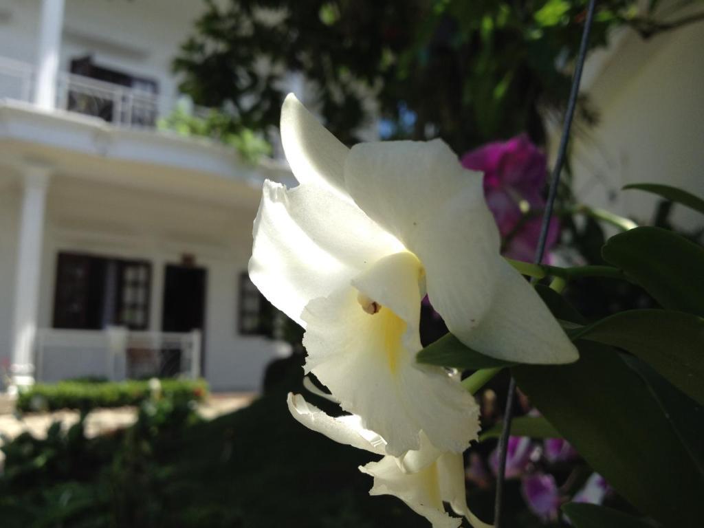 Suncosy Central Hotel Phú Quốc Eksteriør billede
